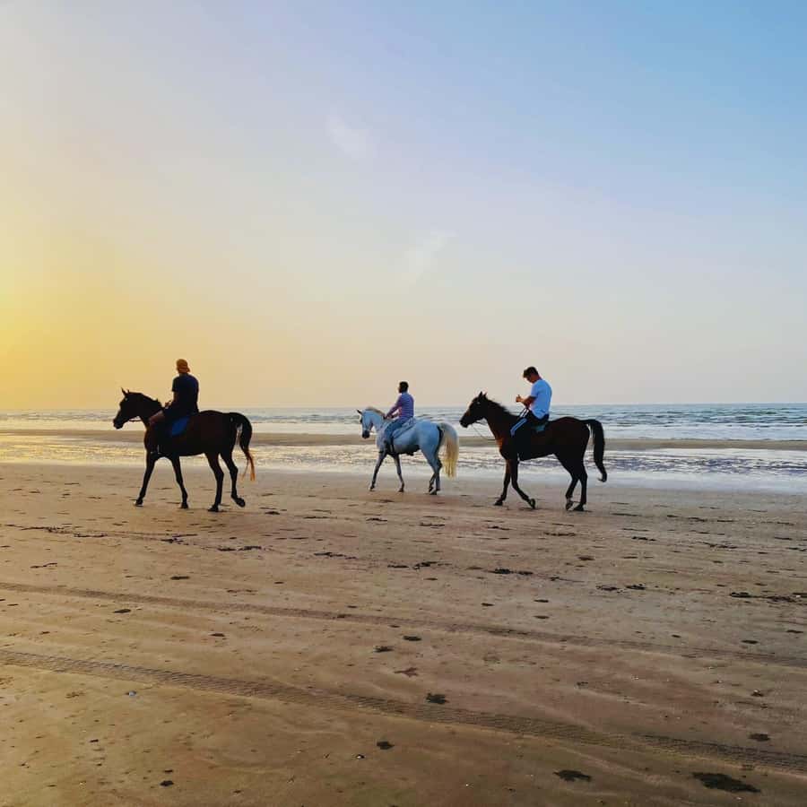 Horse riding in muscat beach - The Best Time for Sunset Photos