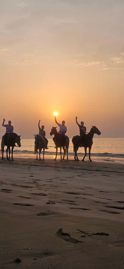 Horse Riding Muscat | Beach Horse Riding - Key points at a glance