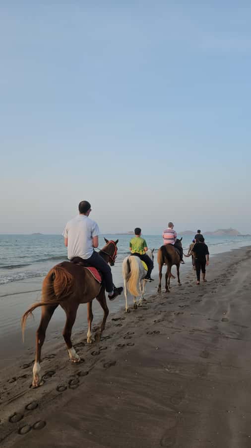 Horse Riding Muscat | Beach Horse Riding - Why Al Sawadi Beach makes the ride special