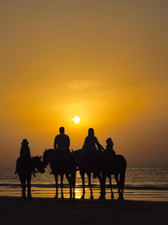 Horse Riding Muscat | Beach Horse Riding - Getting ready for the horse