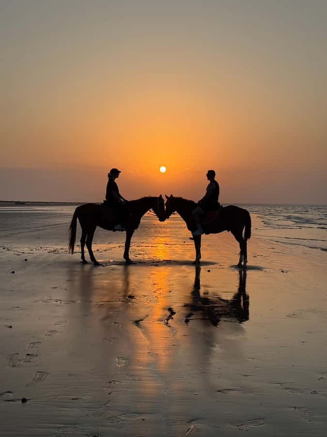 Horse Riding Muscat | Beach Horse Riding - What the one-hour ride feels like