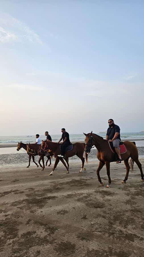 Horse Riding Muscat | Beach Horse Riding - What is included for $58