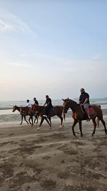 Horse Riding Muscat | Beach Horse Riding - Who will enjoy this beach ride most