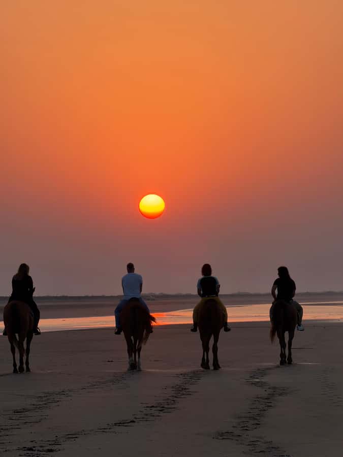 Horse Riding Muscat | Beach Horse Riding - Small details that make the day easier