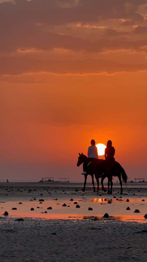 Horse Riding Muscat | Beach Horse Riding - The 55-minute trip from Muscat to Barka