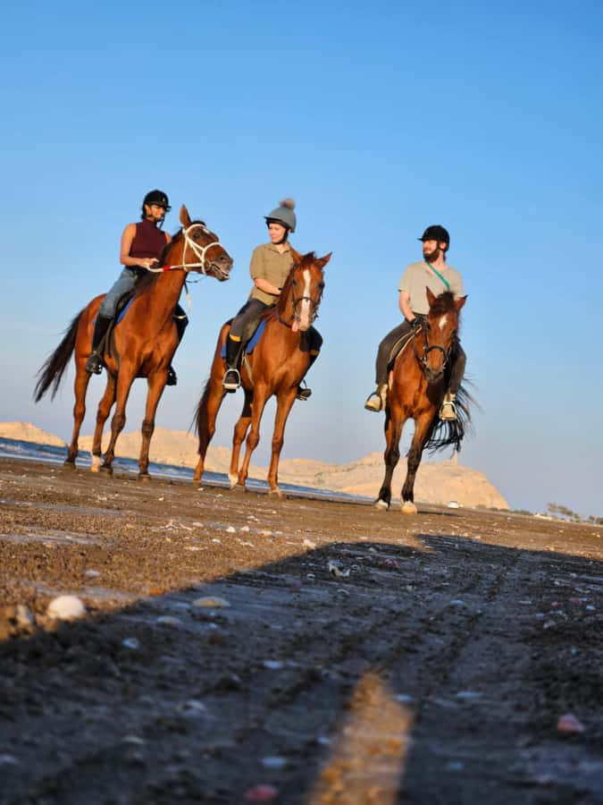 Horse Riding Oman - 2 hour ride - Key points to know before you ride
