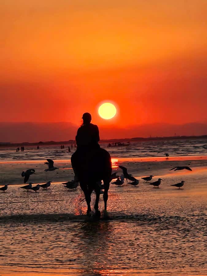 Horse Riding Oman - 2 hour ride - Why Al Sawadi Beach makes a good riding setting