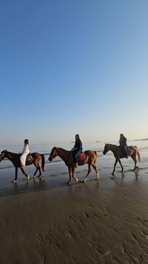 Horse Riding Oman - 2 hour ride - Who will enjoy this beach ride most?