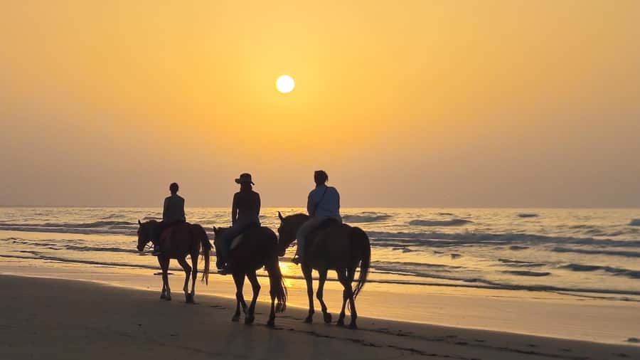 Horse Riding Oman - 2 hour ride - Should you book Horse Riding Oman?