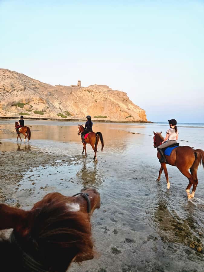 Horse Riding Oman - 2 hour ride - What happens during the two-hour ride