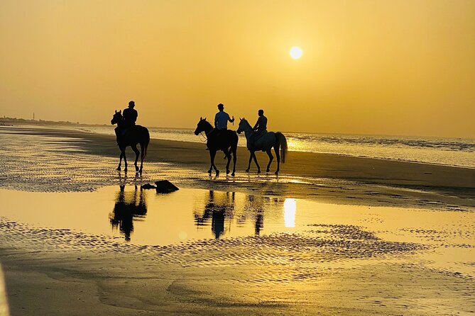Horse Riding on the beach - A short ride with a very clear purpose