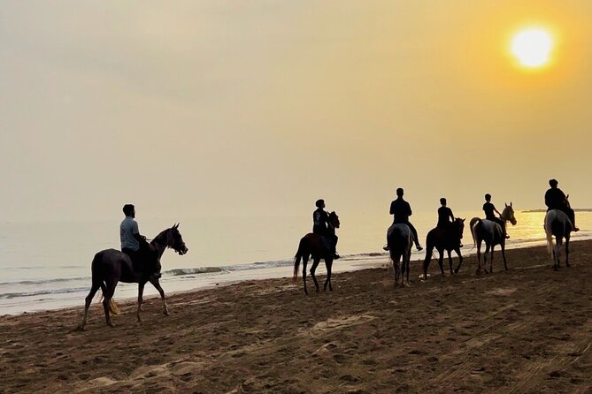 Horse Riding on the beach - Gentle horses and beginner appeal