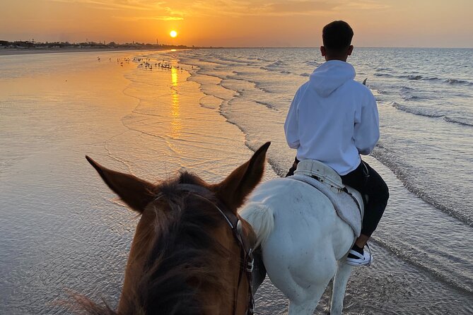 Horse Riding on the beach - Who should book this Muscat ride?