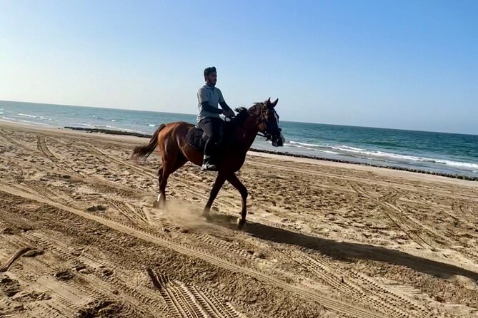 Horse Riding on the beach - Meeting the horses at Al Ghubrah