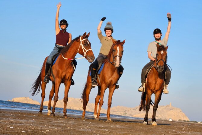 Horseback Riding Muscat Beach - Key points at a glance