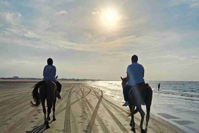 Horseback Riding Muscat Beach - When sunrise and sunset make the difference