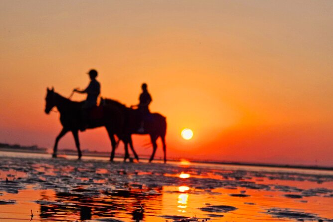 Horseback Riding Muscat Beach - The photography is part of the appeal