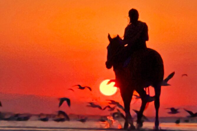 Horseback Riding Muscat Beach - A practical look at safety and comfort