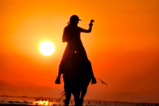 Horseback Riding Muscat Beach - Who will enjoy this most