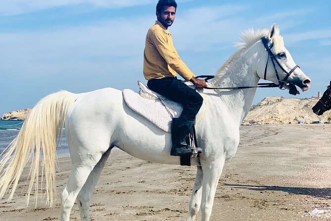 Horseback Riding Muscat Beach - What a first-time rider can expect
