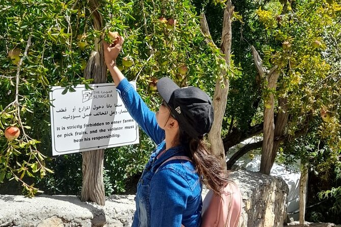 Jebel Akhdar Al Suwjara - Birkat Al Mouz Ruins - Private Full Day Tour - From Muscat to the Banana Pool at Birkat Al Mouz