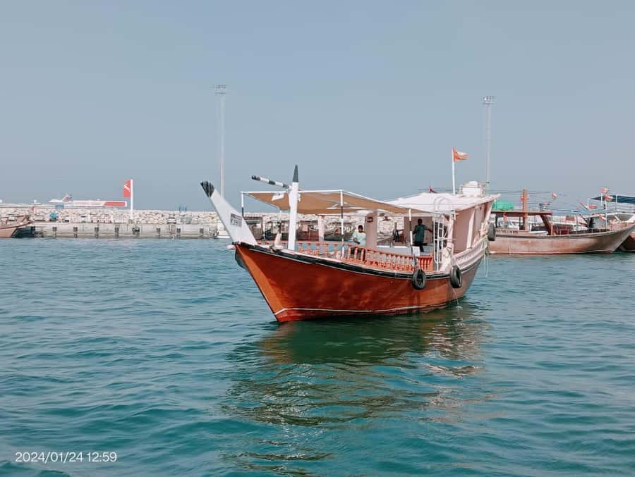 Khasab: Dhow Cruise with Lunch, Dolphin Watching& Snorkeling - Six hours among Musandam’s fjord walls