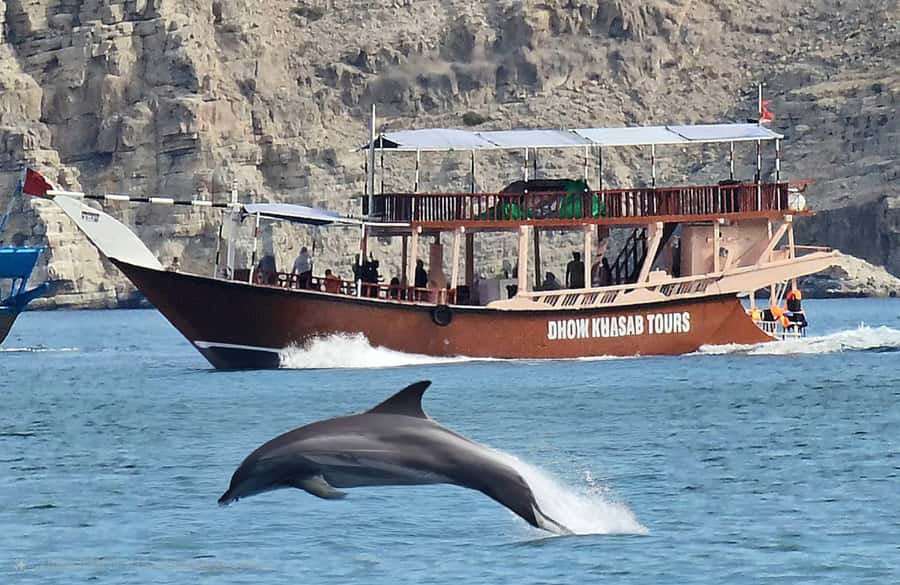 Khasab: Half-Day Dhow Cruise, Dolphin Watching, & Snorkeling - What makes this cruise worth your time