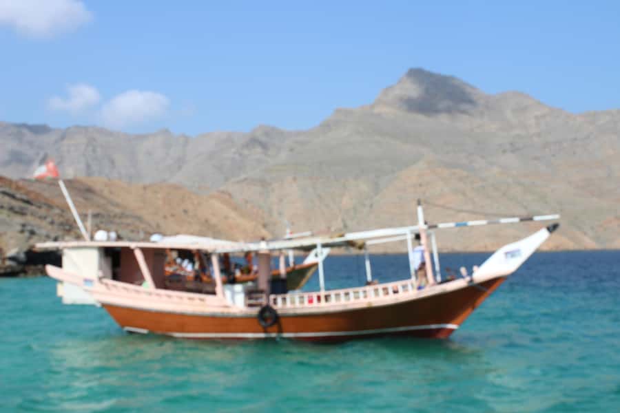 Khasab: Half-Day Dhow Cruise, Dolphin Watching, & Snorkeling - Swimming and snorkeling in the fjords