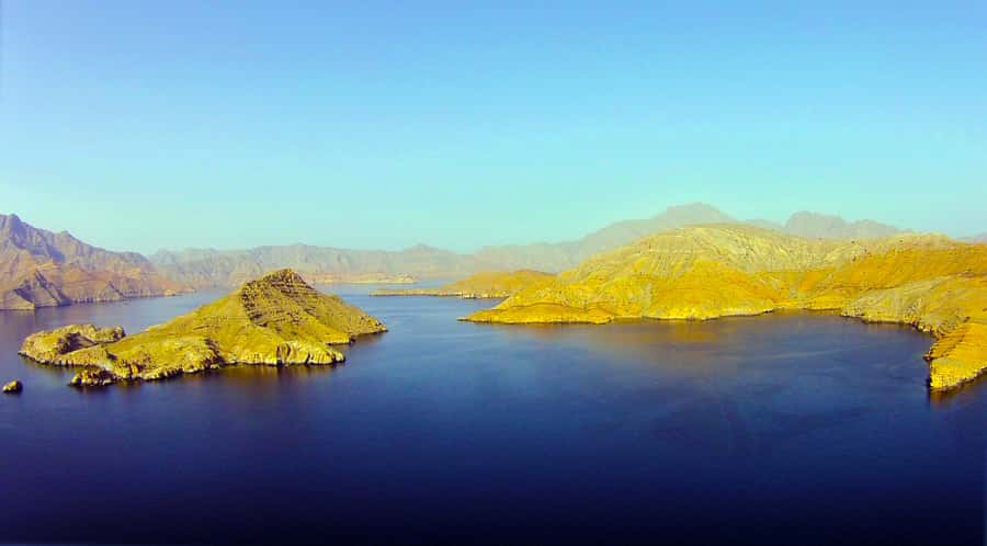 Khasab: Half-Day Dhow Cruise with Dolphin Watching - Who will get the most from this trip