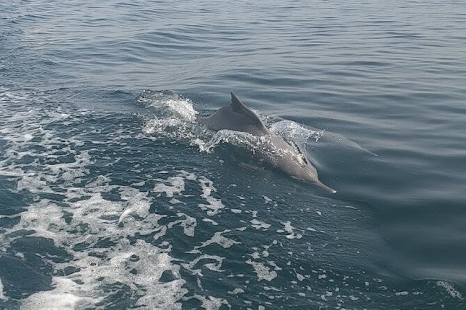 Khasab Musandam Full Day dhow cruise with lunch and Snorkeling - Lunch, fruit, coffee, and cold drinks onboard
