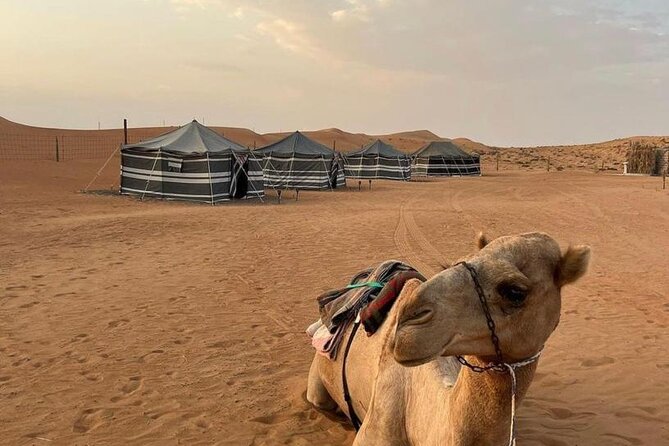 Luxury Overnight Desert Safari in Salalah - From frankincense trees to the Empty Quarter