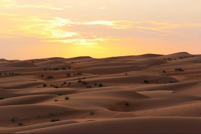 Luxury Sunset Desert Safari - Why this Salalah safari is different