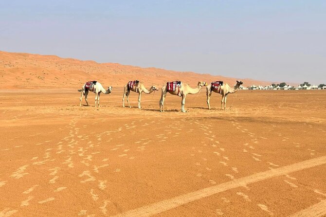 Luxury Sunset Desert Safari - Sunset, Arabic coffee, and the quiet payoff