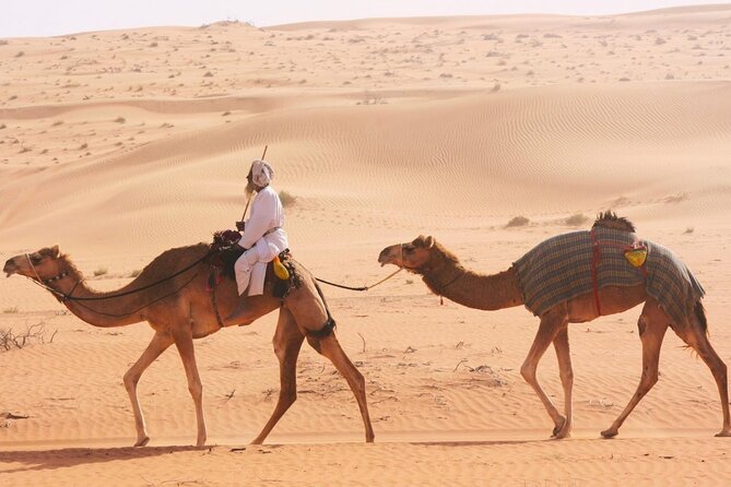 Luxury Sunset Desert Safari - Guides, vehicles, and comfort on a long day
