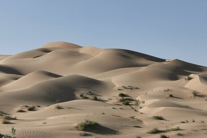 Luxury Sunset Desert Safari - Is $175 a fair price?