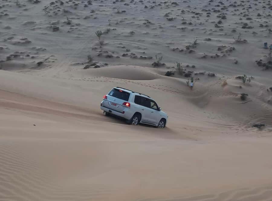 Magical Desert Safari By Land Cruise in Empty Quarter - From Salalah to Thumrait and the Nejd region