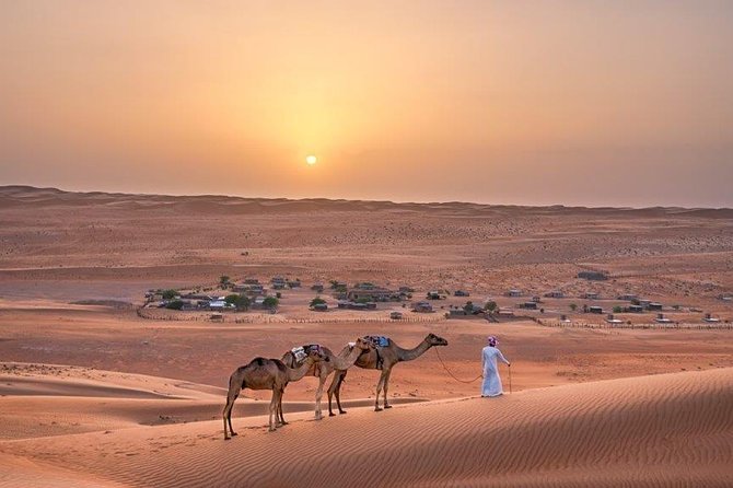 Mountain, Desert & Coastal Tour (03 Days / 02 Nights) - Wahiba Sands and the change to desert silence
