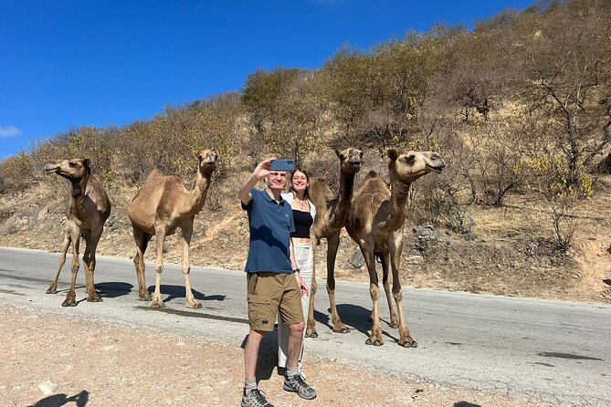 Mountain Safari, Camels, waterfalls & lunch (Group Tour) - Jabal Samhan and the high Dhofar view