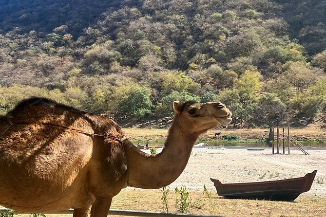 Mountain Safari, Camels, waterfalls & lunch (Group Tour) - What the $150 price really covers