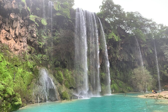 Mountain Safari Private Tour - Why this Salalah tour works as a full-day sampler