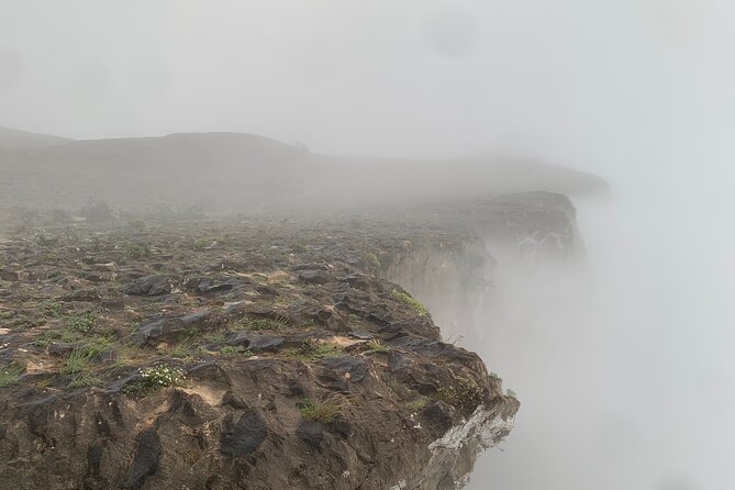 Mountain Safari Private Tour - Three hours at Wadi Darbat
