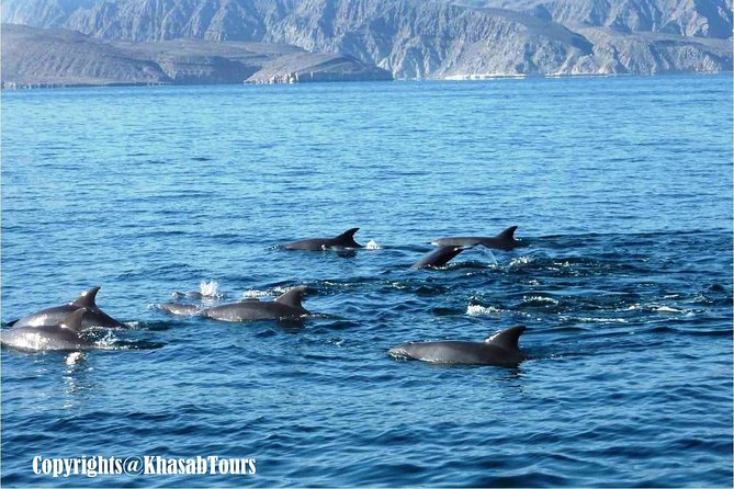 Musandam Khasab Day Trip and Dhow Cruise from Dubai - Swimming, snorkeling, and time to relax