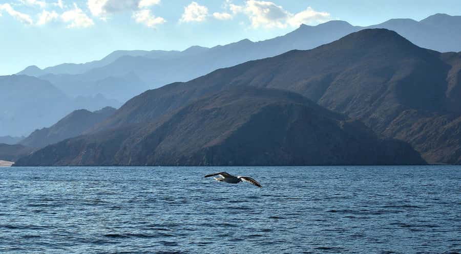 Musandam Khasab Full-Day Cruise with Transfers & Lunch - Lunch, fruit, and drinks on board