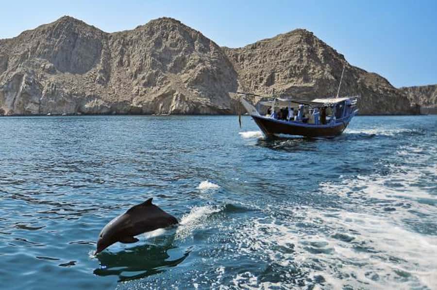 Musandam Khasab Full-Day Cruise with Transfers & Lunch - The early departure and the road to Khasab