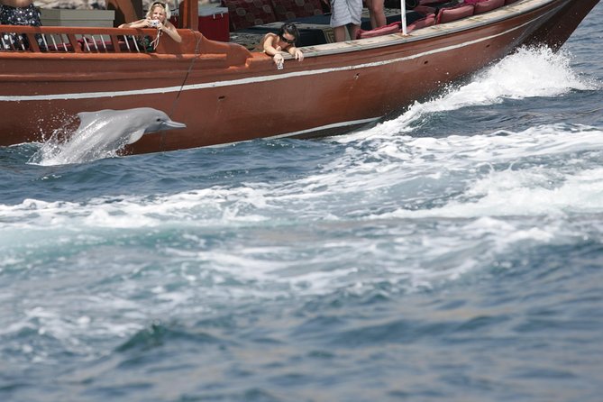 Musandam Khasab Full day dhow cruise with Lunch - Key points to know before boarding