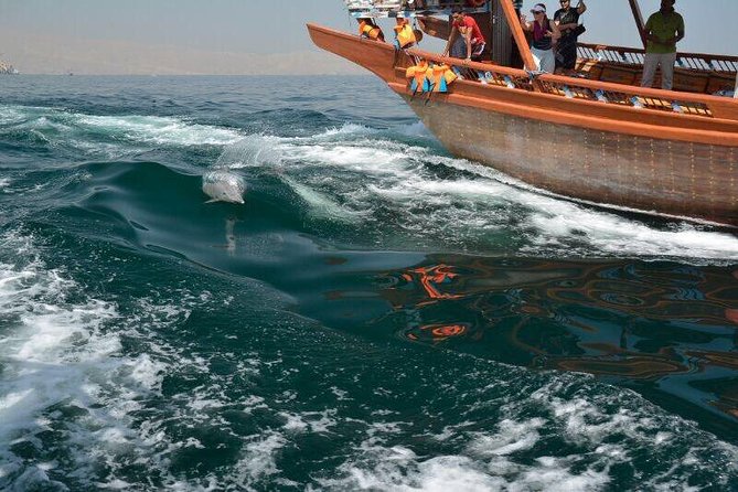 Musandam Khasab Full day dhow cruise with Lunch - Looking for dolphins along the fjord