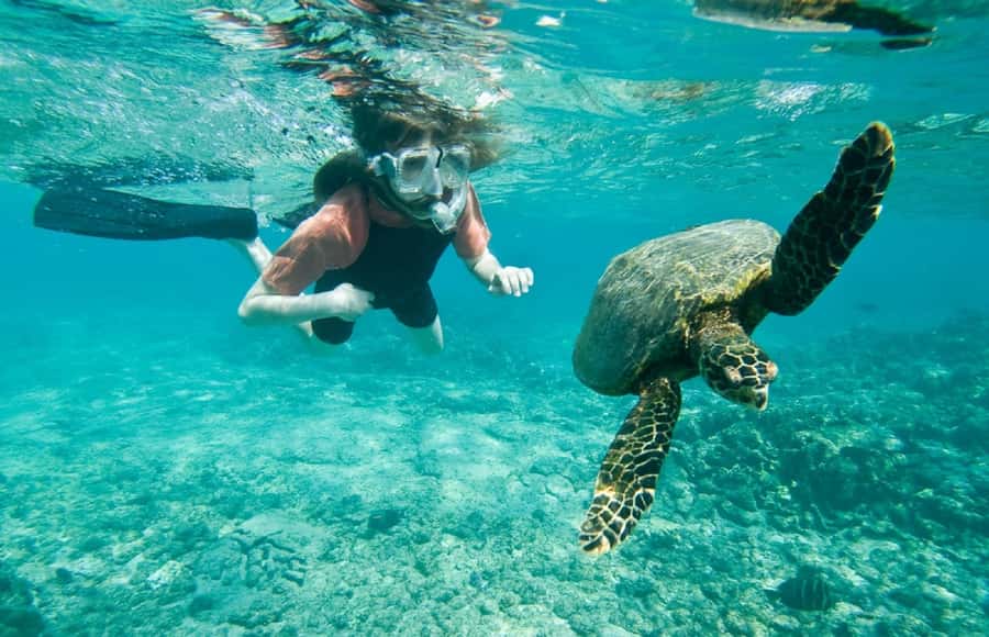 Muscat: 4-Hour Snorkeling Tour with Dolphin watching - The Ride From Muscat to the Marina