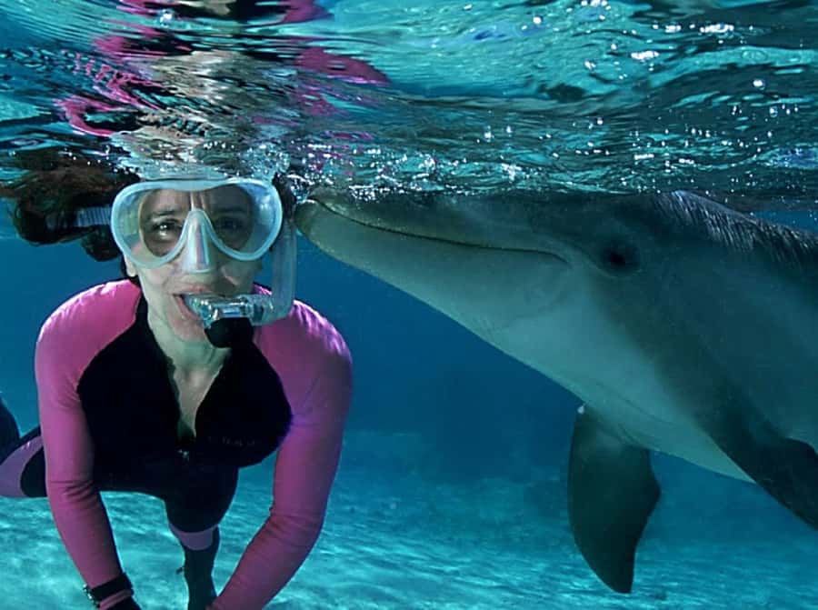 Muscat: 4-Hour Snorkeling Tour with Dolphin watching - What I Would Pack