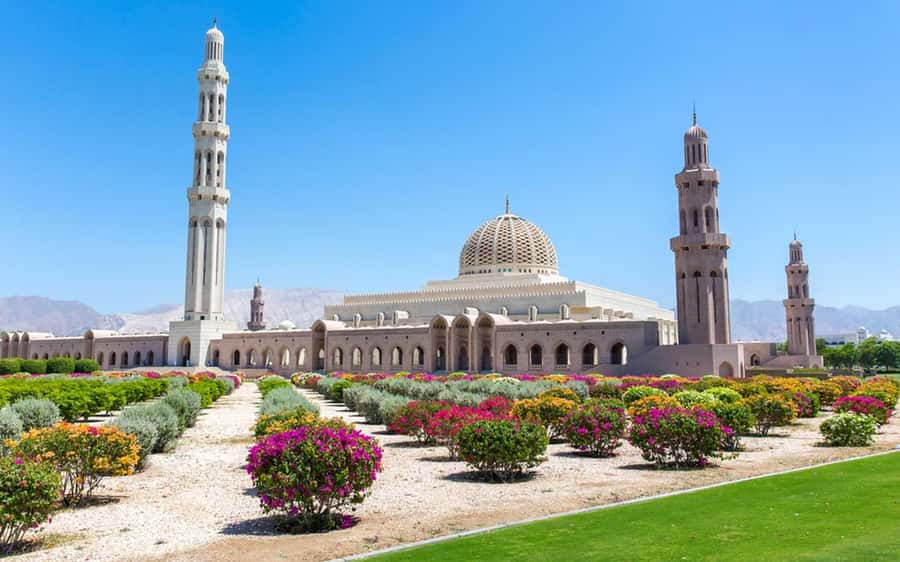 Muscat : 4 hours private Tour of Muscat City with Pick-up - Key points to know before booking