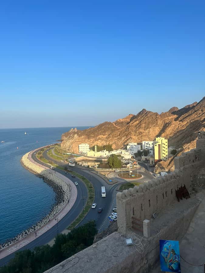 Muscat : 4 hours private Tour of Muscat City with Pick-up - Why this four-hour route works in Muscat